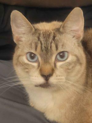 Lindsey Grade School