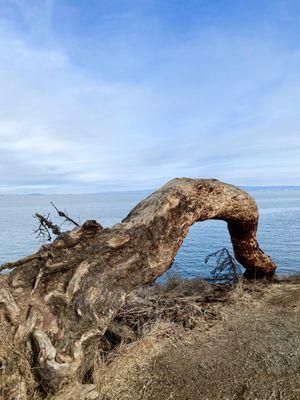Coyote Point Recreation Area