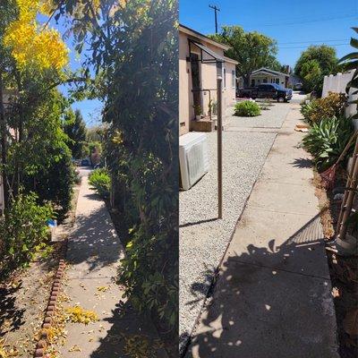 Art’s Tree Service