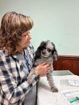 South Franklin Animal Hospital