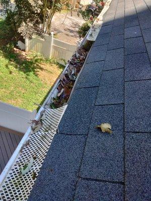 Bad gutter guards