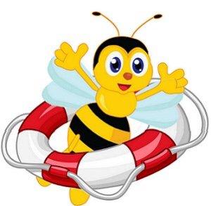 Bee Rescue