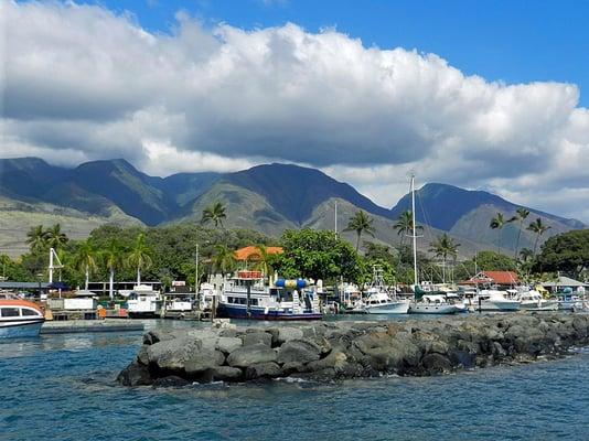 Lahaina Harbor