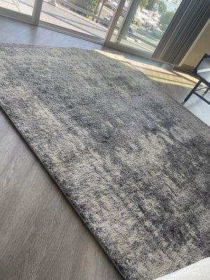 Local Mike's 310+ Carpet Cleaning