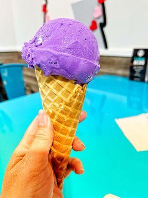 The Dolly Llama Mount Pleasant