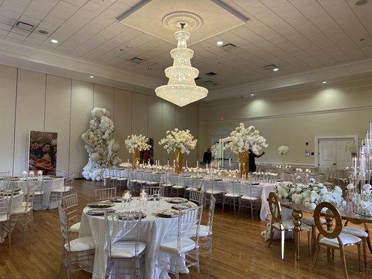 Francesca Jourawleff - Violinist