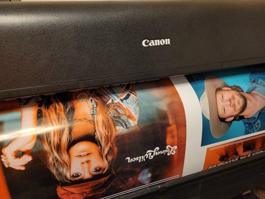 Pop Designs & Prints