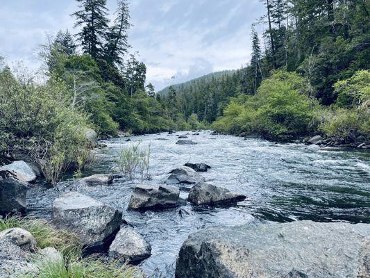 Free Your Mind Camping