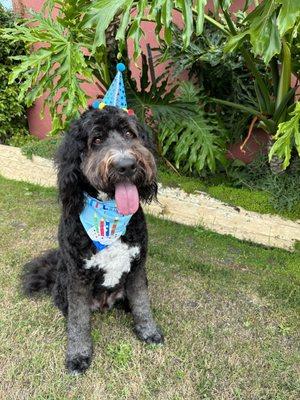 Excellent haircut I love it