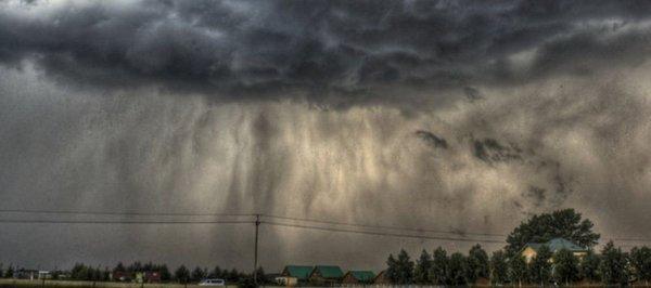 Advocate Public Adjustment