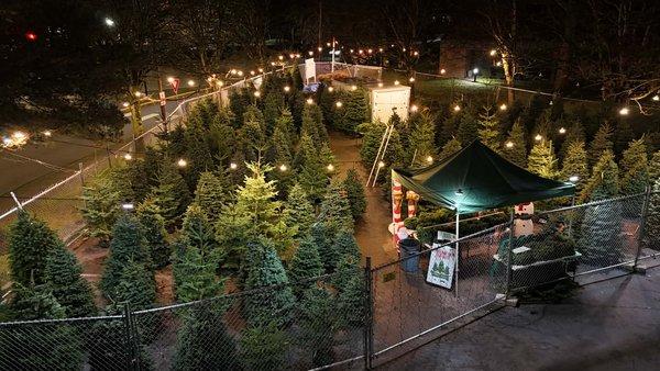 Drone shot in the evening