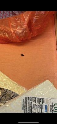 Carniceria Las Glorias