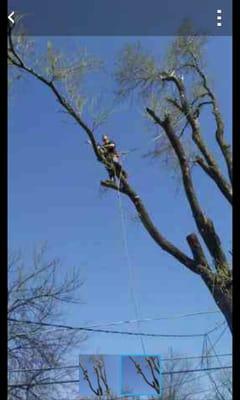 Budget Tree Service Of Kankakee