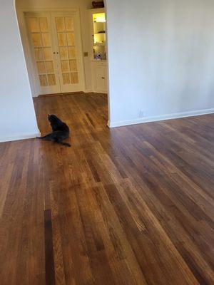 Redlands Wood Renewal