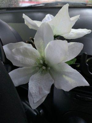 Asian Massage Therapy