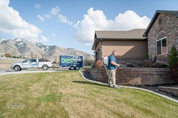 Detection Pest Services