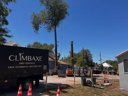 Climbaxe Tree Services