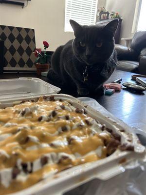 Lowkey forgot to take a photo there so here's what I got at home my bad