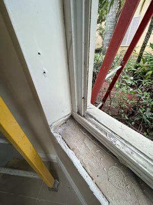 Professional Quality Services