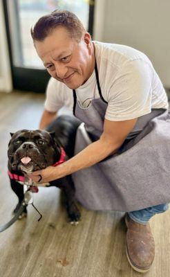 Our American Bully Tiny posing with her friend Froi.