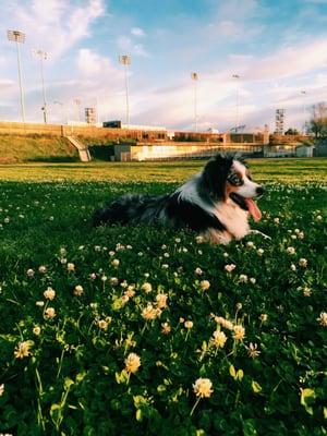 5 o'clock sunset with this guy.