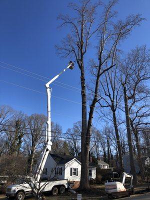 Choice Tree Service