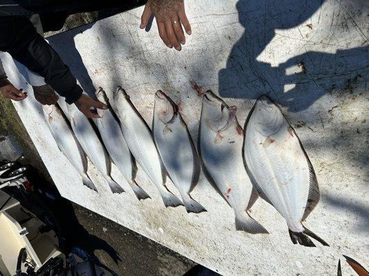 Fishbrain Fishing Charter