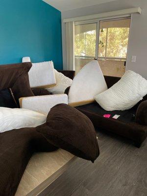 Genesis Carpet Cleaning
