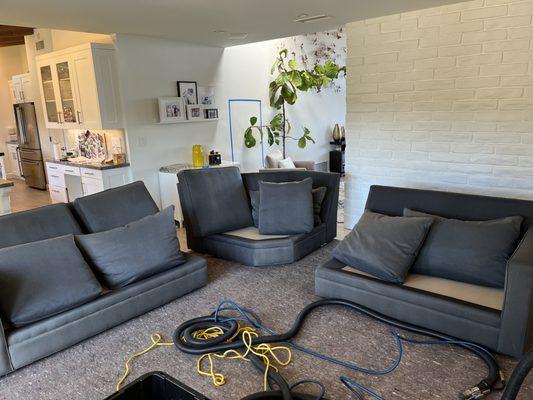 Green Scrub Carpet Cleaning