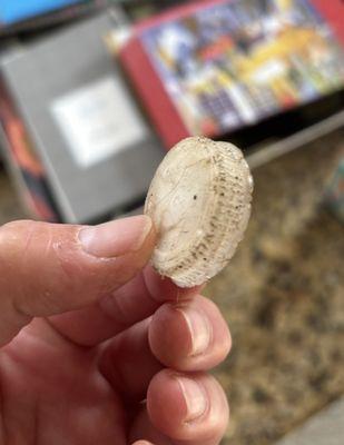 Benjamin Franklin Plumbing of West Palm Beach