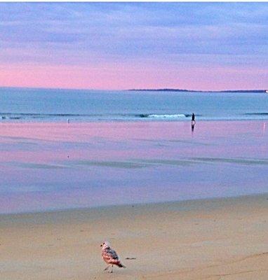 The Beachfront Condotel