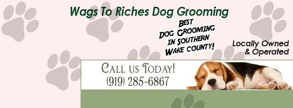 Wags to Riches