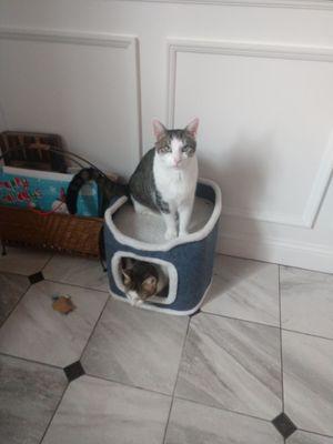 This is the little guy on top of the castle