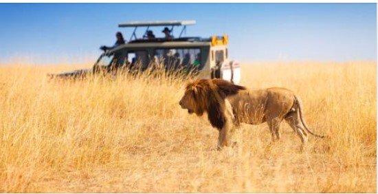 The Pink Pelican Travel Group