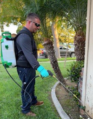 Dailey Pest Management