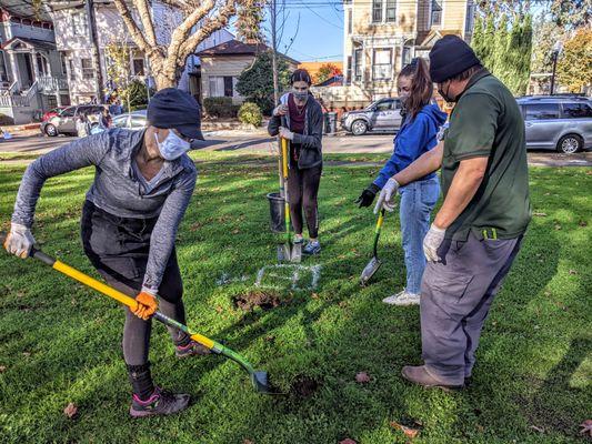 100K Trees for Humanity