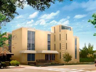 Bone & Joint Acupuncture Clinic