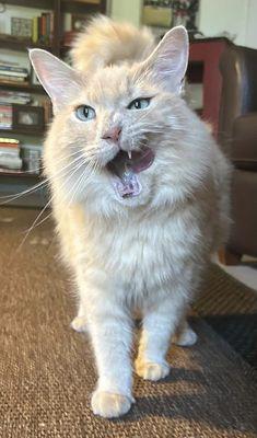 Clark LOVES Hanna and she always gets the best action photos of him.