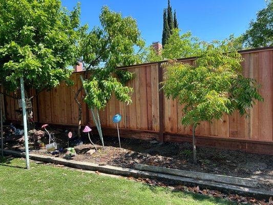 Picture Frame Fence Installation - Ergeon - Palo Alto
