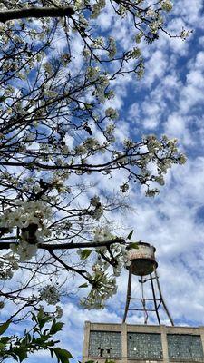 Shelby Park Water Tower
