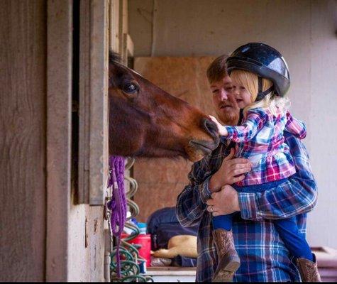 Healing Hands Horsemanship
