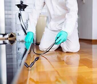 Bongiorno Termite Control