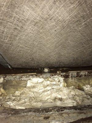 After the unit thaws. Pooled water.