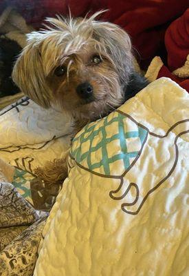 Someone say,Dr.Ferris?