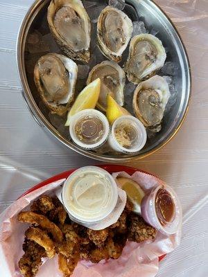 calamari and oysters