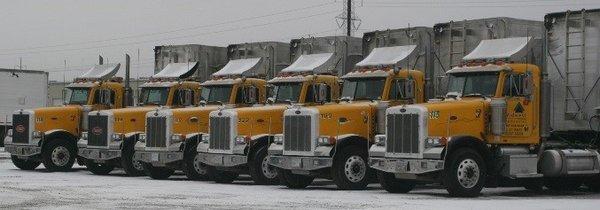 Trucking and Transport Service with end dump trailers, walking floor trailers & tipper trailers available.