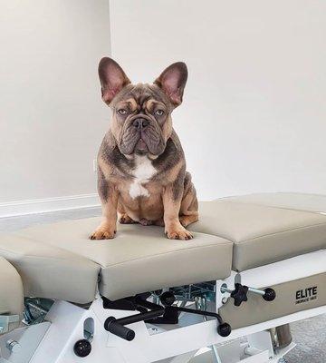 De-Lux Chiropractic