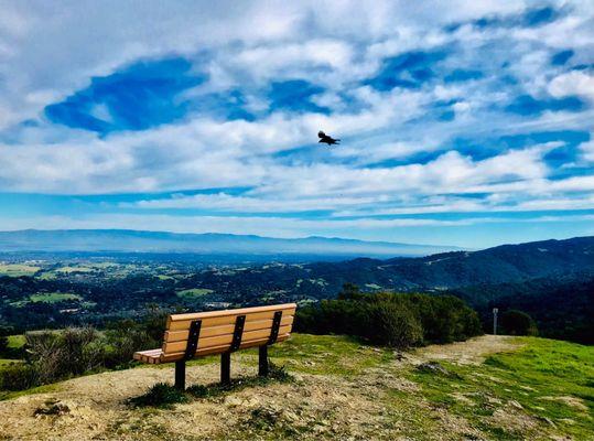 Windy Hill Open Space Preserve