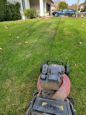 New Ideas Landscaping and Maintenance