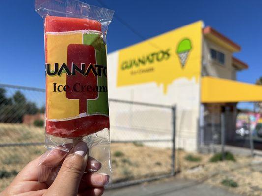 Paleta Guanatos